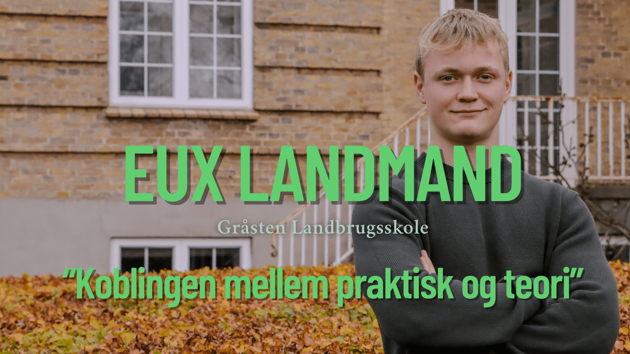 Koblingen mellem praktisk og teori