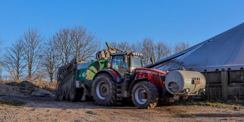 IMG_1384