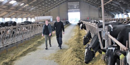 Succes med landbrug på landbrugsskole